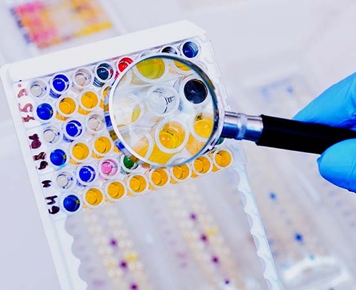 [Cas9-1000] Cas9 ELISA Assay